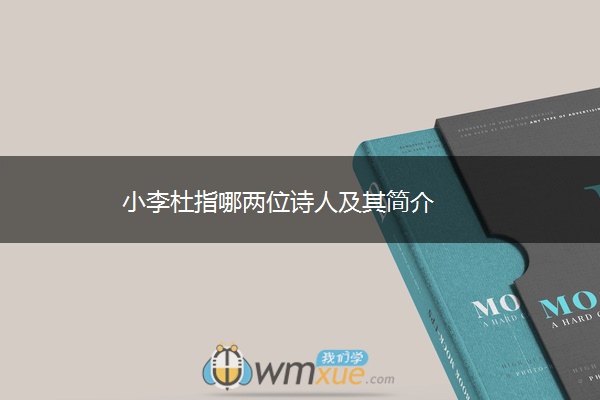 小李杜指哪两位诗人及其简介