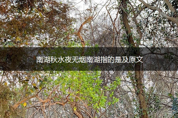 南湖秋水夜无烟南湖指的是及原文