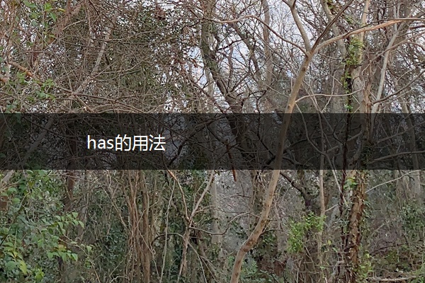 has的用法