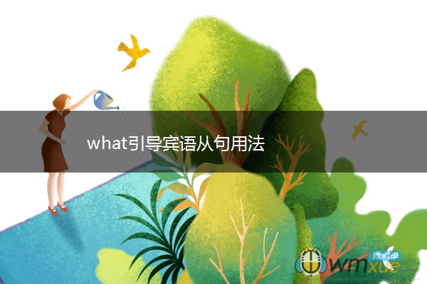what引导宾语从句用法