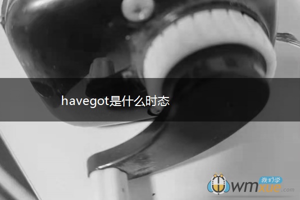 havegot是什么时态