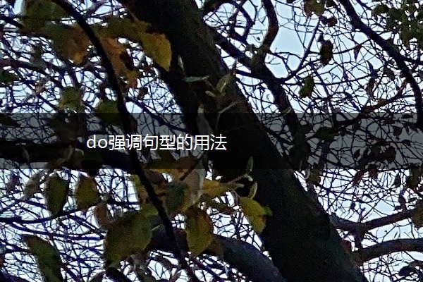 do强调句型的用法