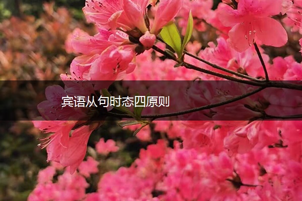 宾语从句时态四原则