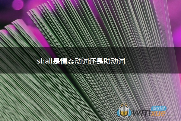 shall是情态动词还是助动词