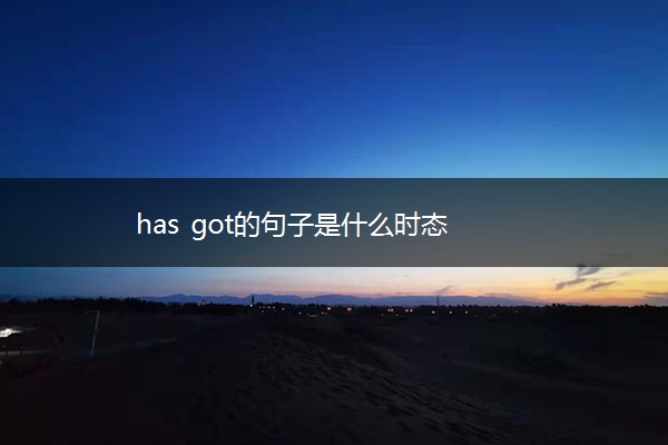 has got的句子是什么时态