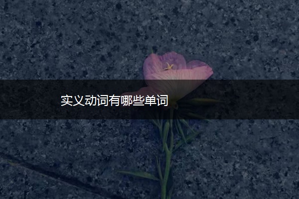 实义动词有哪些单词