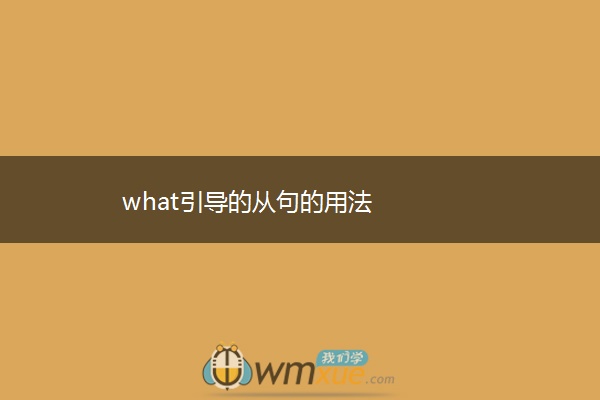 what引导的从句的用法