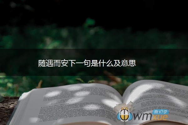 随遇而安下一句是什么及意思