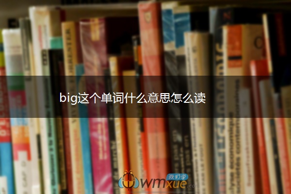big这个单词什么意思怎么读