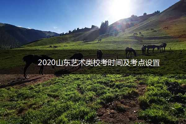 2020山东艺术类校考时间及考点设置