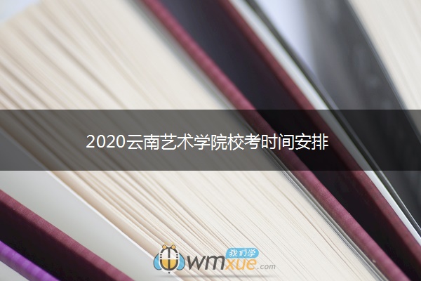 2020云南艺术学院校考时间安排