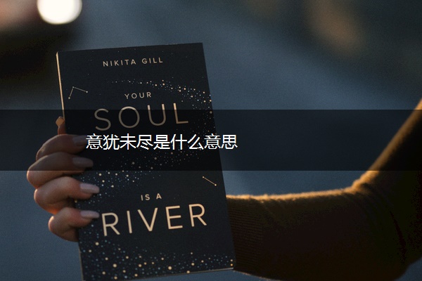 意犹未尽是什么意思