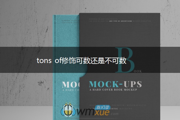 tons of修饰可数还是不可数