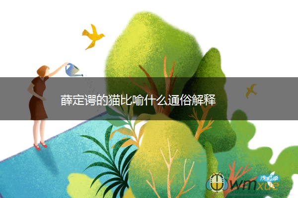 薛定谔的猫比喻什么通俗解释