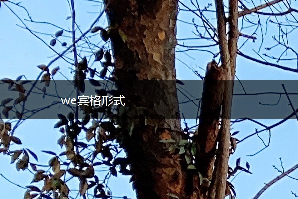 we宾格形式