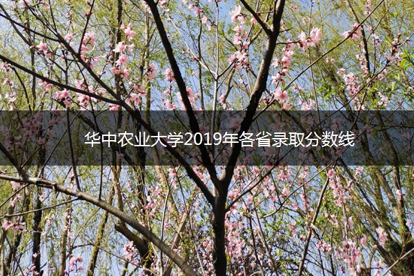 ​华中农业大学2019年各省录取分数线