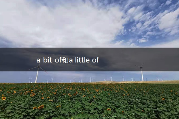 a bit of和a little of的区别
