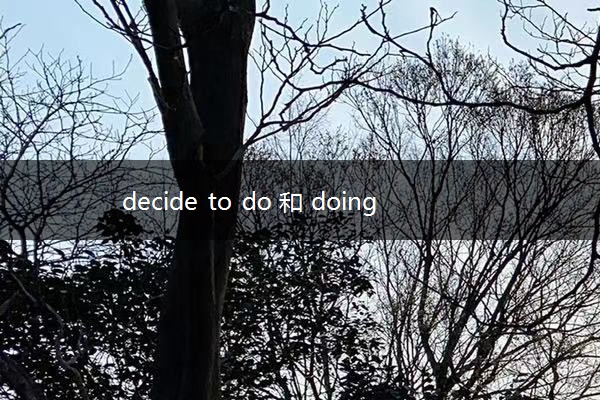 decide to do 和 doing的区别