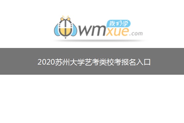 2020苏州大学艺考类校考报名入口
