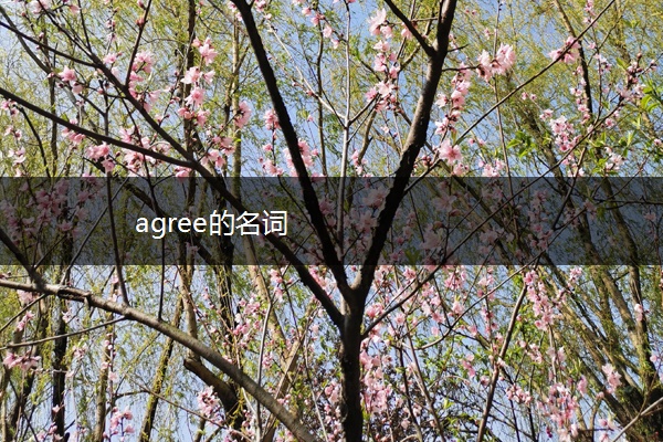 agree的名词