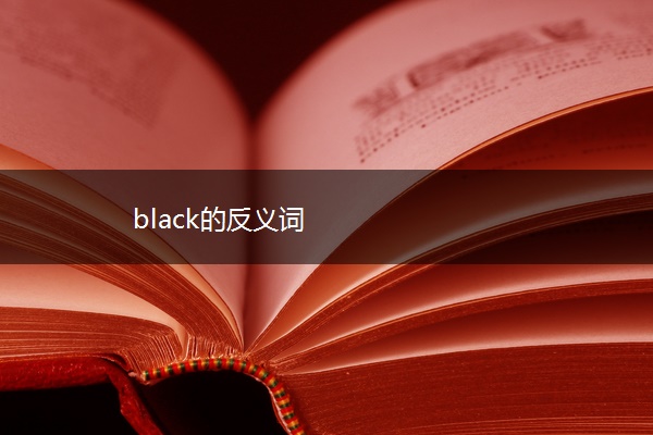 black的反义词