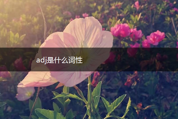 adj是什么词性