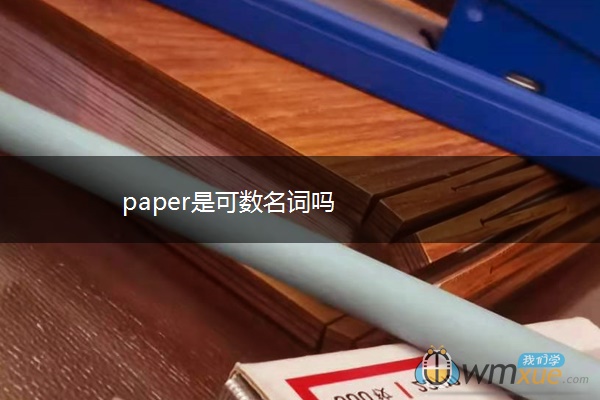 paper是可数名词吗