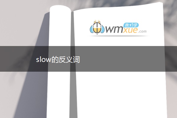 slow的反义词