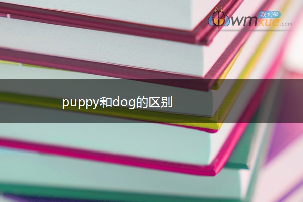 puppy和dog的区别