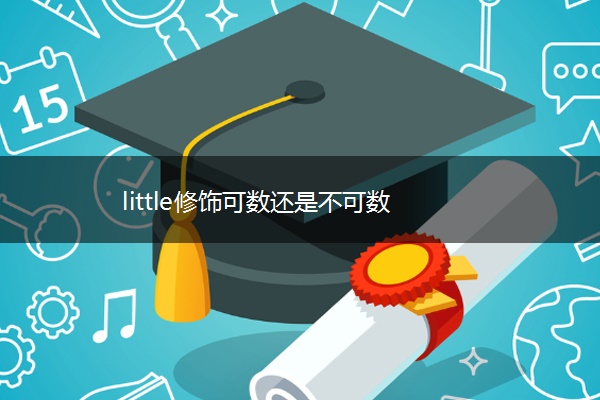 little修饰可数还是不可数