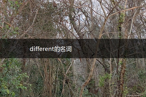 different的名词