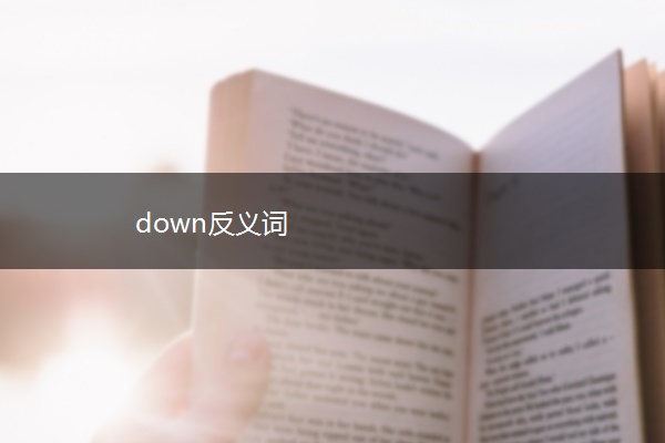 down反义词