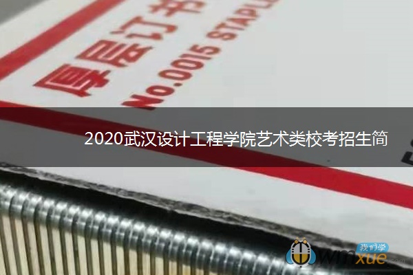 2020武汉设计工程学院艺术类校考招生简章
