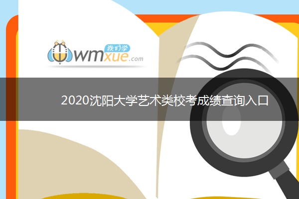 2020沈阳大学艺术类校考成绩查询入口