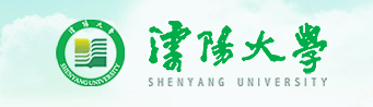 2020沈阳大学艺术类校考成绩查询入口