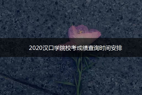 2020汉口学院校考成绩查询时间安排