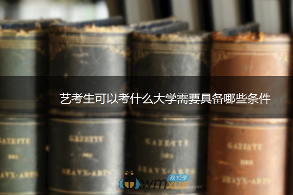 艺考生可以考什么大学需要具备哪些条件