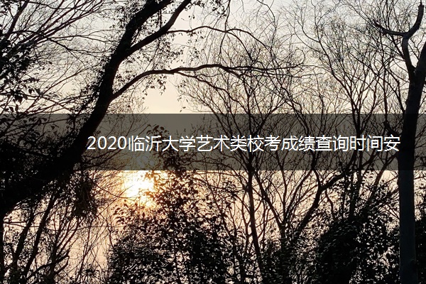2020临沂大学艺术类校考成绩查询时间安排