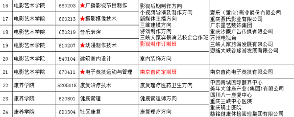 重庆信息技术职业学院2020年单招专业