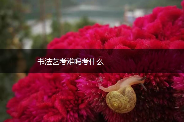 书法艺考难吗考什么