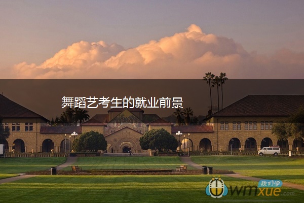 舞蹈艺考生的就业前景