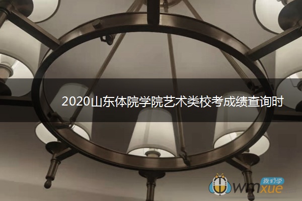 2020山东体院学院艺术类校考成绩查询时间