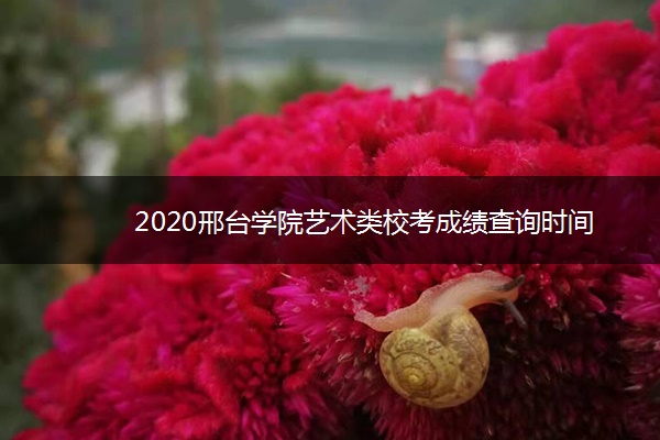 2020邢台学院艺术类校考成绩查询时间