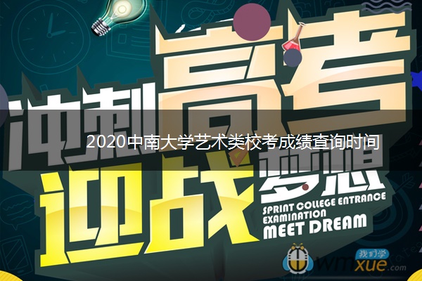 2020中南大学艺术类校考成绩查询时间
