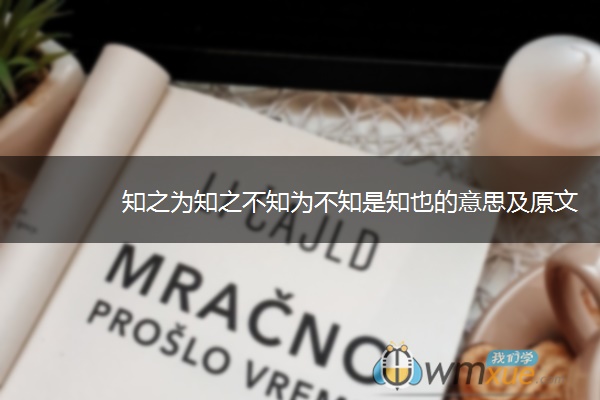 知之为知之不知为不知是知也的意思及原文