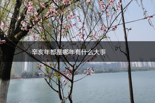 辛亥年都是哪年有什么大事