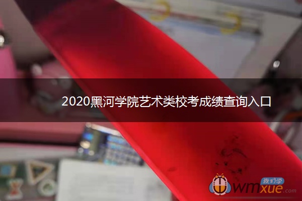 2020黑河学院艺术类校考成绩查询入口