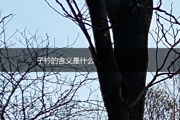 子衿的含义是什么