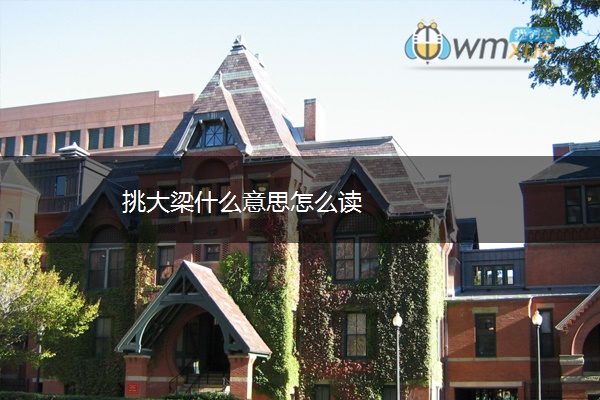 挑大梁什么意思怎么读
