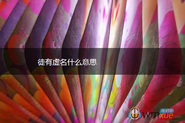 徒有虚名什么意思
